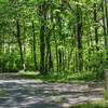 This is the "3 fire roads" junction - Old Rag, Weakley Hollow and Berry Hollow.