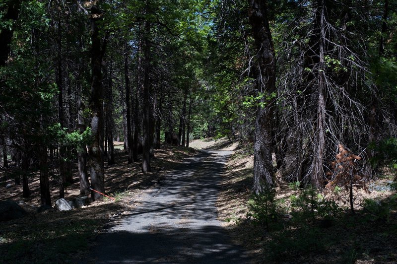 The trail as it makes its way uphill.