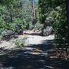 Approaching Wawona Road (Highway 41) returning to the car. There is room for a couple of cars at the trailhead.