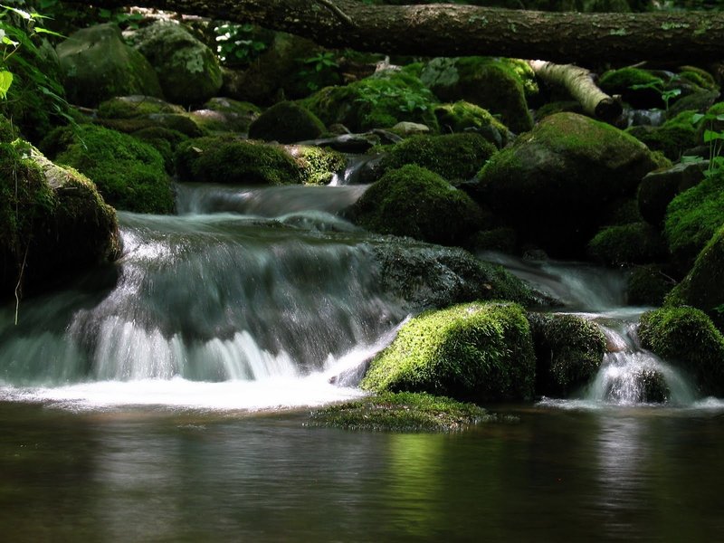 Staunton River. with permission from rootboy