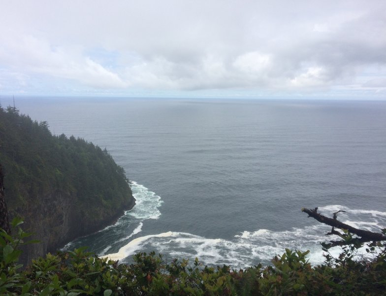 First lookout on Cape Lookout Trail.