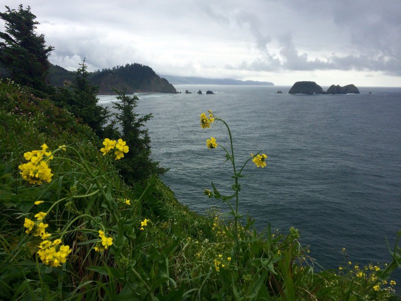 View of the Three Arch Rocks