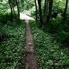 Clear Creek singletrack and footbridge.