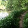 Singletrack along Clear Creek.