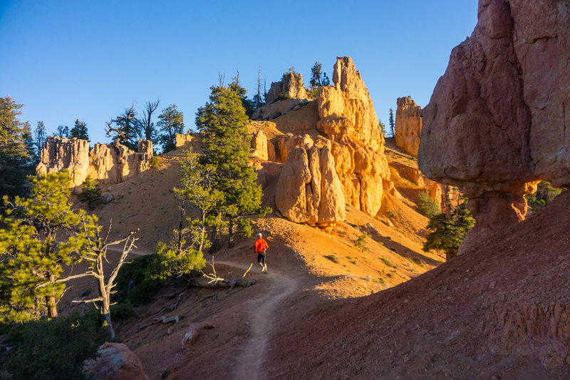 A run among the hoodoos!