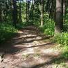 Heading north up the Short Loop's east trailhead.