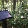 One of the interpretive signs found scattered throughout the preserve.