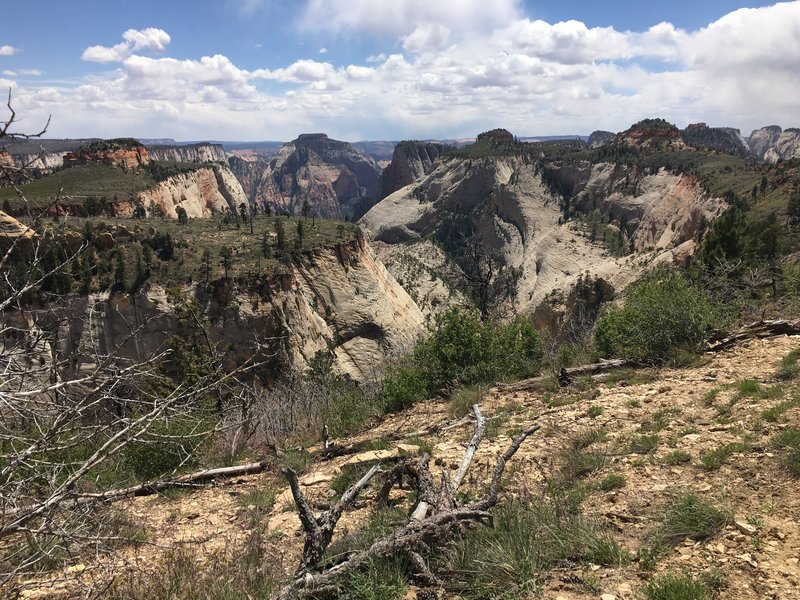 Southern view from the Hourse Pasture Plateau on the West Rim Trail.