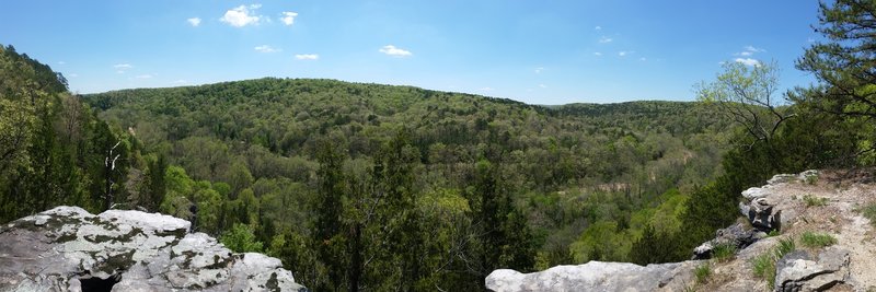 Overlooking Paddy Creek.