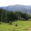 Little Bald Mountain Prairie.