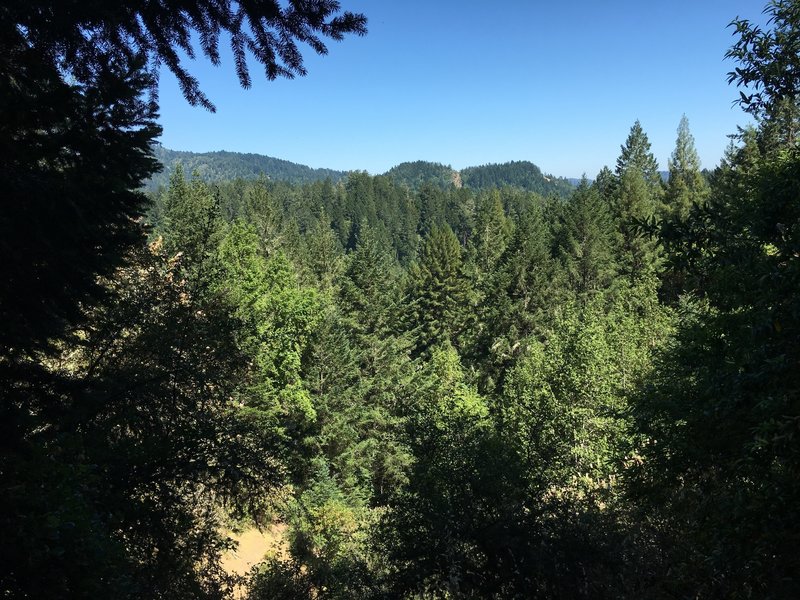 Rare view from Pool Ridge Trail.