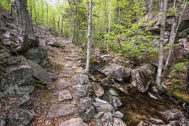 The A. Murray Young Path passes by a small stream.