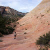 Southwest side of Checkerboard Mesa, Zion National Park.