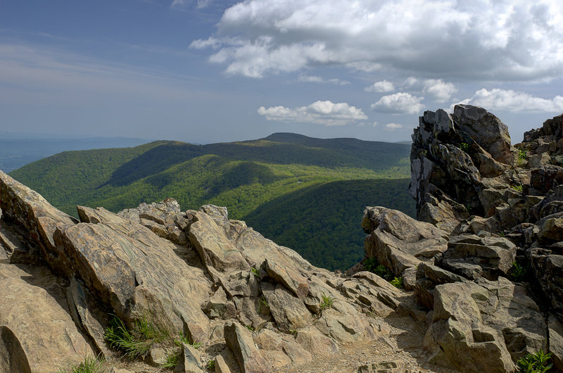 Hawksbill Summit looking north.