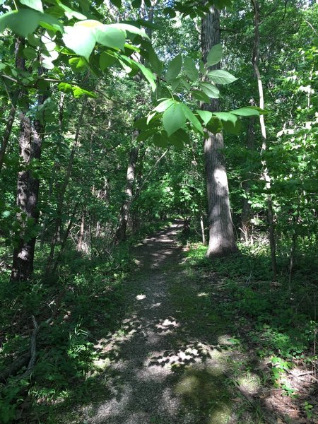 Angler's Point Trail.