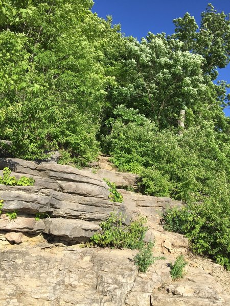 Where the Field Campus Trail comes out onto the spillway