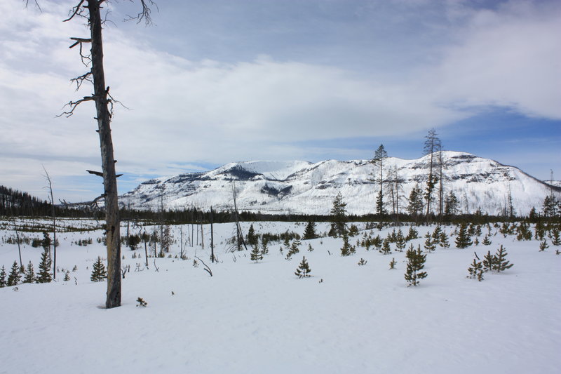 Looking Across the Thorofare Valley in winter. with permission from Hobbes7714 Photo Credit: Andrew Wahr  Link: https://twitter.com/WahrAndrew