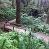 Bridge over Janes Creek.