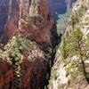 Outline of Angels Landing Trail.