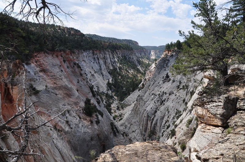 Jolly Gulch, East Rim Trail, Zion National Park