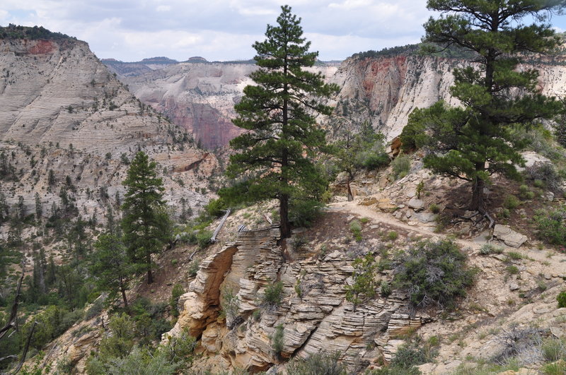 East Rim Trail, Zion National Park. Once you pass this turn you have a good view of Echo Canyon.