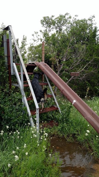 Stairs going over the wildlife refuge fence.