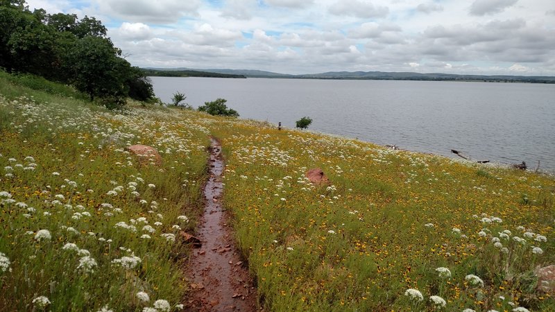 Blue Trail looking over Lake Lawtonka.