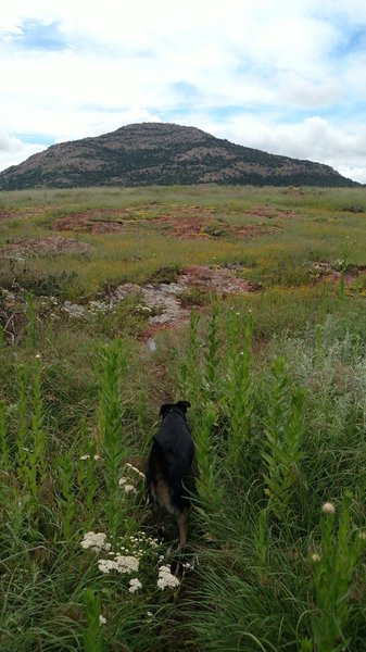 Blue Trail looking up at Mount Scott.