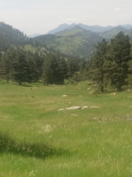 Inviting meadows dotted with lichen-covered boulders.