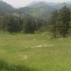 Inviting meadows dotted with lichen-covered boulders.