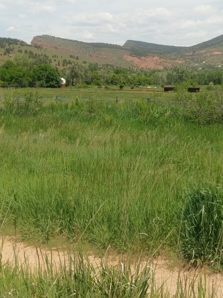 Looking north at the escarpments above Lyons.