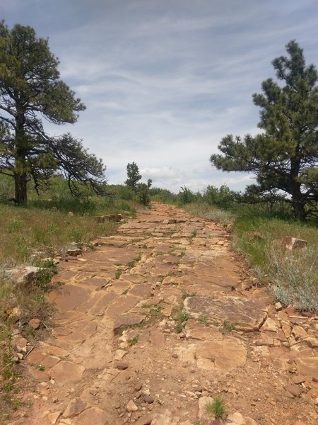 Wide and very rocky start to the Little Thompson Overlook Trail.