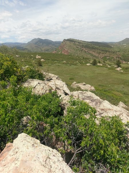 Looking north from the end of the Little Thomson Overlook Trail.