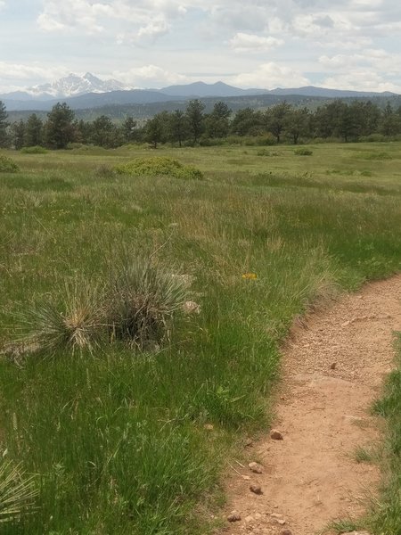 Good views of snowy Mount Meeker and Long's Peak.