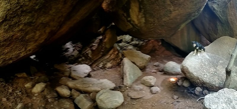 Natural cave in the boulder garden.