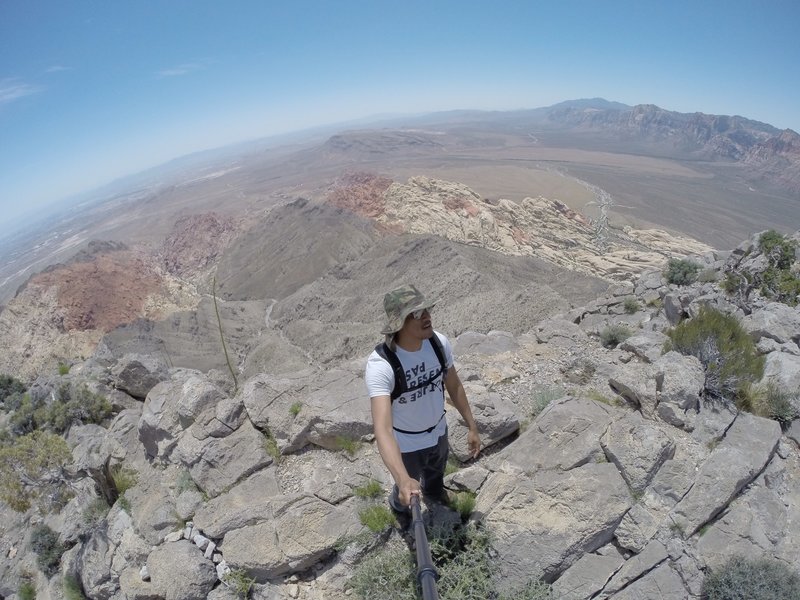 Turtlehead Mountain Summit