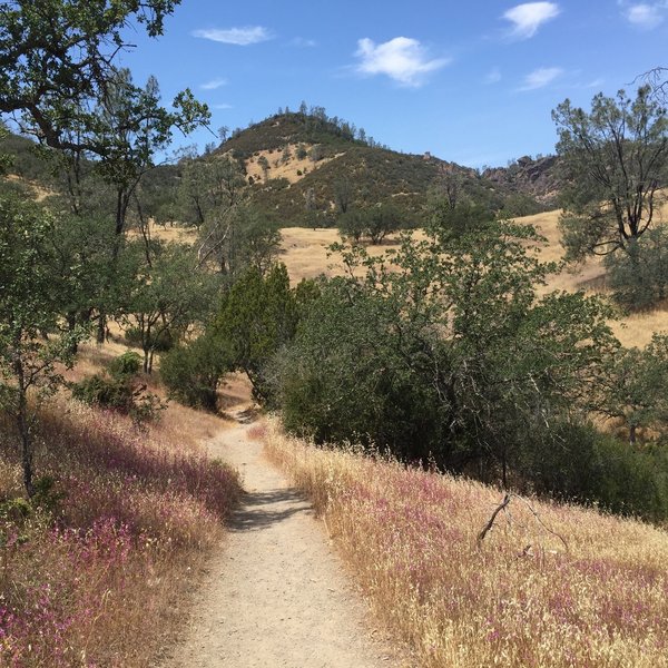 Heading down a ridge at Pinnacles.