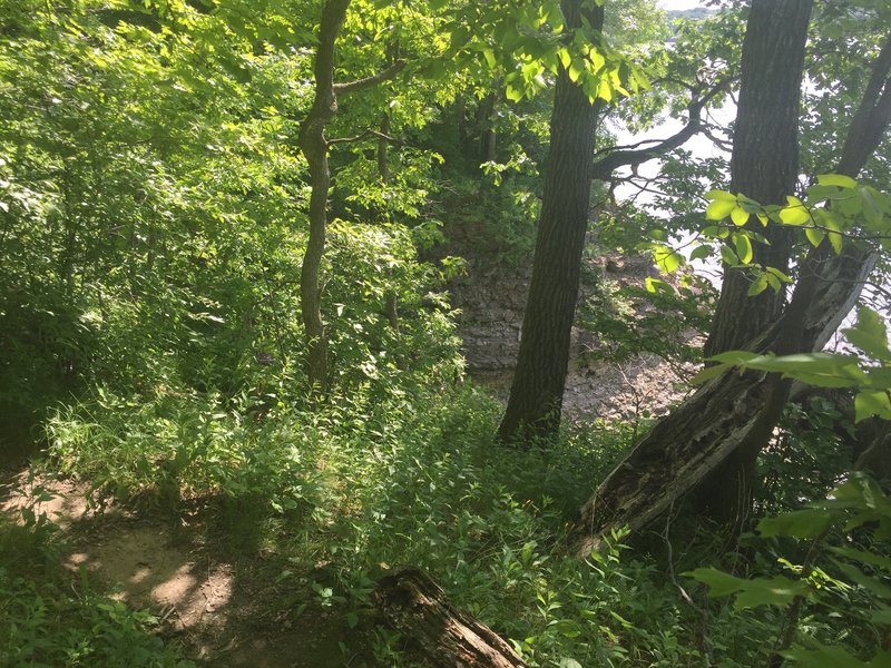 Outcroppings on the shore of the Coralville Reservoir, which the Osprey Trail traverses.