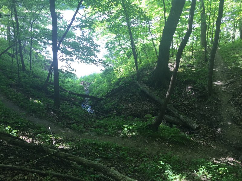 Another drainage the trail dips down into.