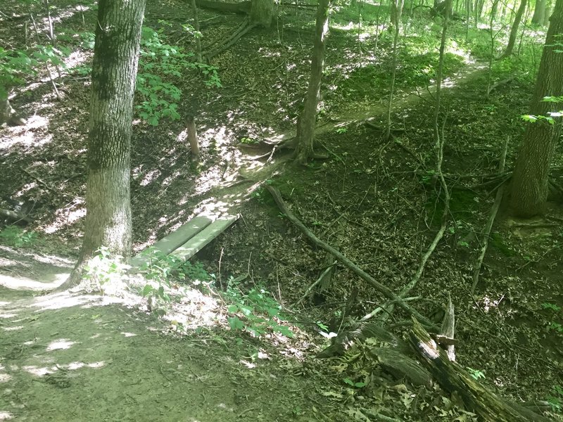 One of the many planks that cross the drainages along the trail.