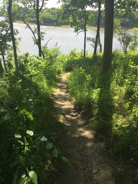 The Osprey Trail and the Coralville Reservoir.