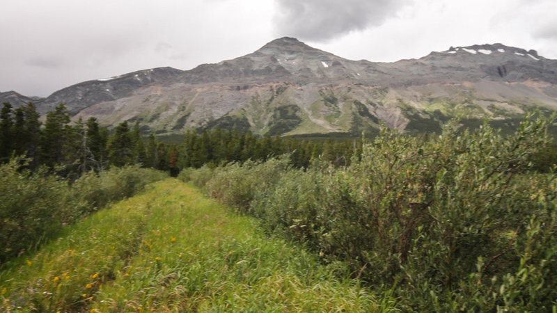 View of Summit Mountain from the trail near the lakes.