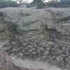 Stay on established trail to protect fragile biological soil crusts, pictured here.