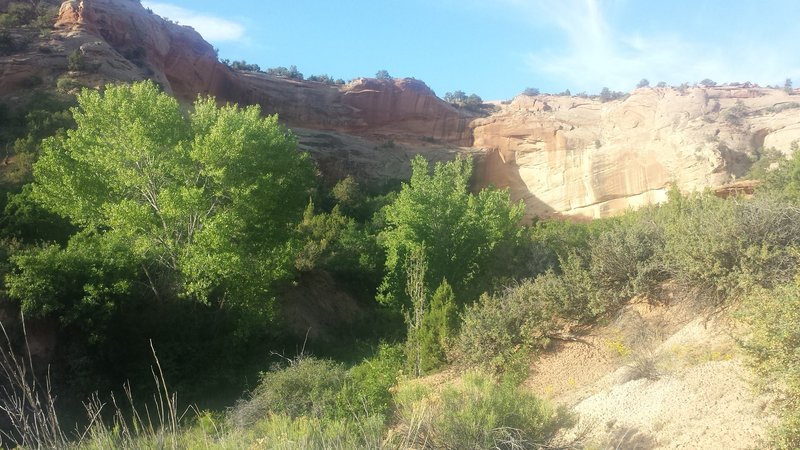 Final sandstone alcove before climb to the top of the mesa.