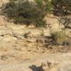 Follow the rock cairns (the piles of neatly stacked rocks) up the sandstone slab to reach the top of the mesa.