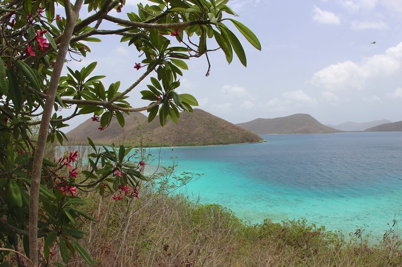 Frangipani overlooking the Leinster Bay