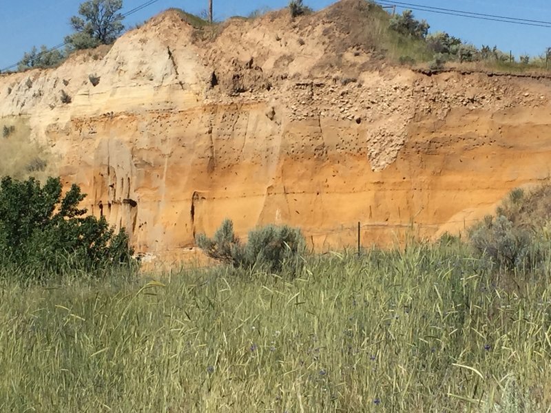 Many swallows live in the side of this hill, which can be reached on the Red Fox Trail.