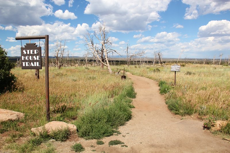 Step House Trailhead.