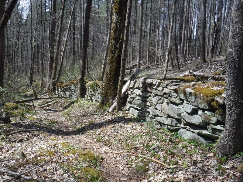 The oldest wall in Great Smoky Mountain National Park.