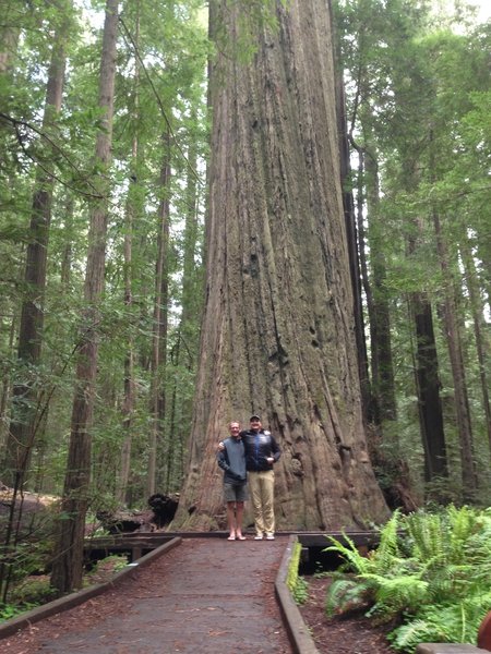 Big Trees- incredible to see, not to be missed!